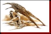 dreams-74_ange-01.jpg